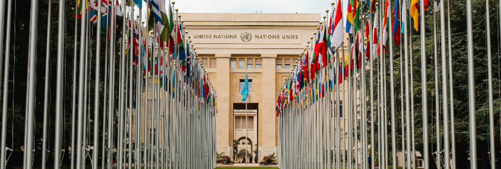 Rows of international flags leading up to the United Nations headquarters building in Geneva.
